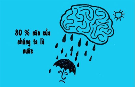 Bí kíp làm sạch nước bẩn sau bão lũ Bí kíp làm sạch nước bẩn sau bão lũ