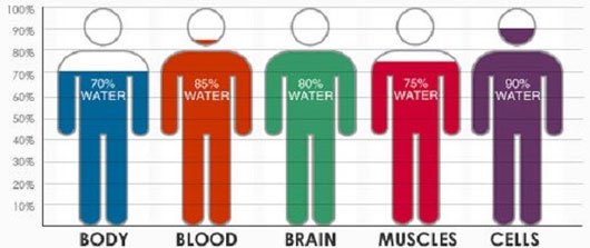 90% phổi, 80% não bộ và 85% máu con người là nước. Nói đơn giản, không có nước sẽ không có sự sống ở bất cứ đâu Bí kíp làm sạch nước bẩn sau bão lũ